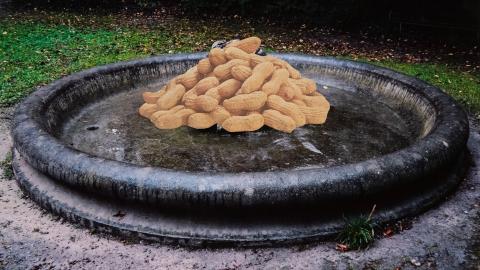 Foto-Kollage: Brunnen vor dem Klus-Park mit Erdnüssen