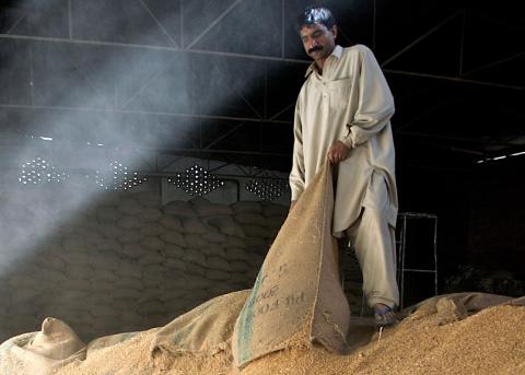 Ein Arbeiter in einem Weizenspeicher in Islamabad, Pakistan.