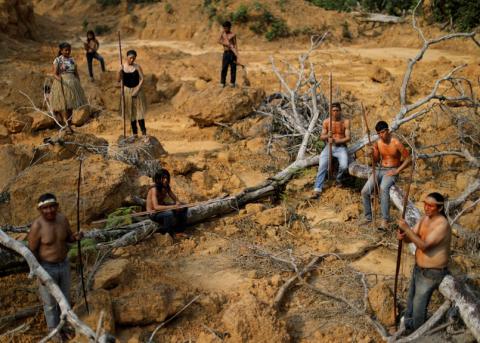 Mitglieder der Mura-Gemeinschaft zeigen ein abgeholztes Gebiet im Amazonaswald