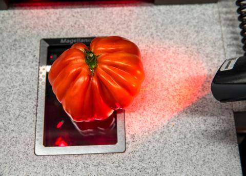 Symbolfoto: Tomate auf der Scanvorrichtung einer Self-Checkout-Kasse