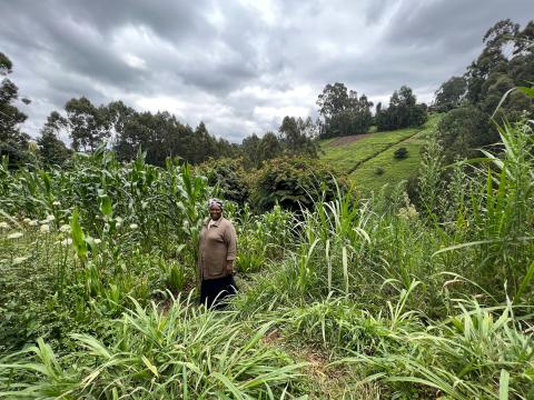 Lucy Muigai steht in ihrem Garten wo sie unter anderem Mais, Gemüse und Bananen anbaut