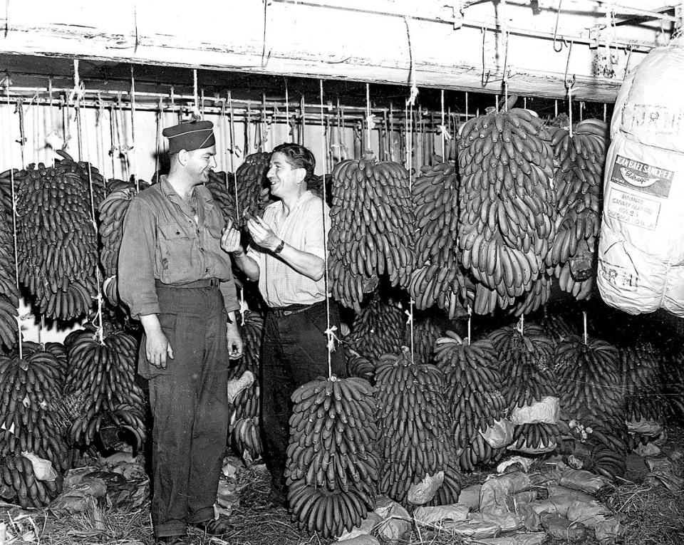 Marseille, Juli 1945: grüne Bananenstauden in einem Lager