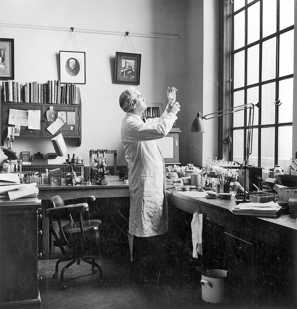 Alexander Fleming, der Entdecker des Penicillin, in seinem Labor